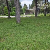 фото из отзыва ID 2665632