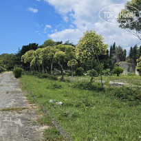 фото из отзыва ID 2665632