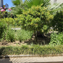 фото из отзыва ID 2665632