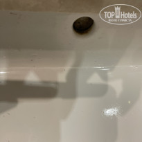 фото из отзыва ID 2665432