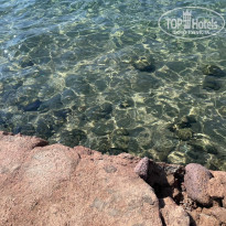 фото из отзыва ID 2665673