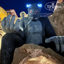 фото из отзыва ID 2665673