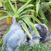 фото из отзыва ID 2665742