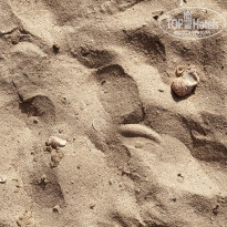 фото из отзыва ID 2665742