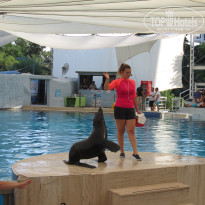 фото из отзыва ID 2665736