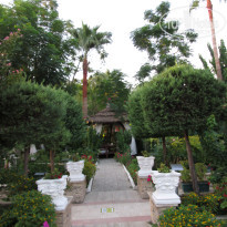 фото из отзыва ID 2665820