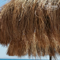 фото из отзыва ID 2665828