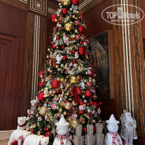 фото из отзыва ID 2665887