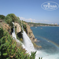 фото из отзыва ID 2665837