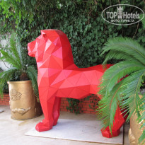 фото из отзыва ID 2665837