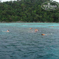 фото из отзыва ID 2665897