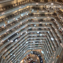 фото из отзыва ID 2665907