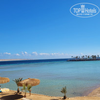 фото из отзыва ID 2665954