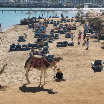 фото из отзыва ID 2665954