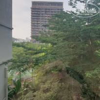 фото из отзыва ID 2665976