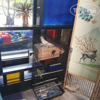 фото из отзыва ID 2665976