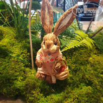 фото из отзыва ID 2665976