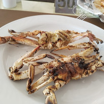 фото из отзыва ID 2665958