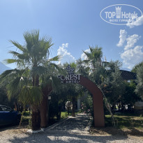 фото из отзыва ID 2666069