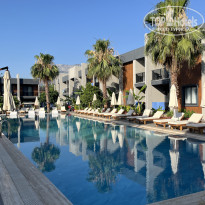 фото из отзыва ID 2666069