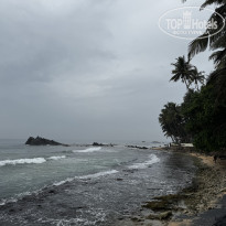 фото из отзыва ID 2666086