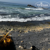 фото из отзыва ID 2666086