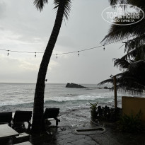 фото из отзыва ID 2666086