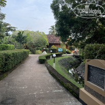 фото из отзыва ID 2666090