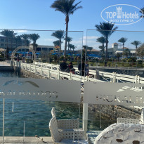 фото из отзыва ID 2666091