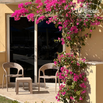 фото из отзыва ID 2666113