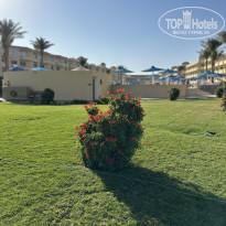 фото из отзыва ID 2666113