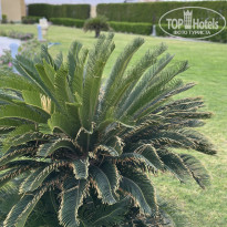 фото из отзыва ID 2666113