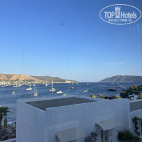 фото из отзыва ID 2666115