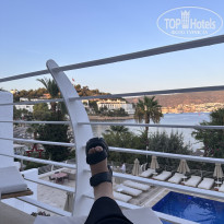 фото из отзыва ID 2666115