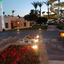 фото из отзыва ID 2666134