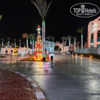 фото из отзыва ID 2666134