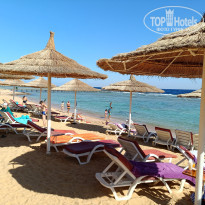 фото из отзыва ID 2666134