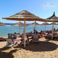 фото из отзыва ID 2666134