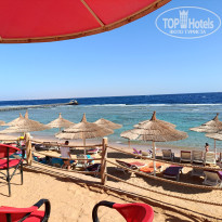 фото из отзыва ID 2666134