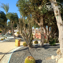 фото из отзыва ID 2666134