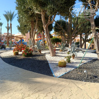 фото из отзыва ID 2666134