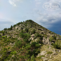 фото из отзыва ID 2666157