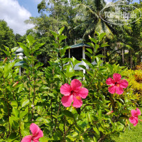 фото из отзыва ID 2666187