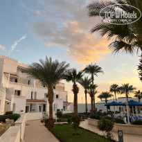 фото из отзыва ID 2666259