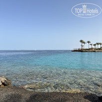 фото из отзыва ID 2666317