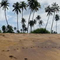 фото из отзыва ID 2666326