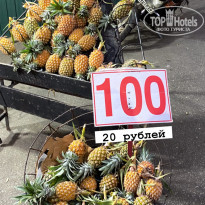 фото из отзыва ID 2666326