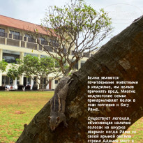 фото из отзыва ID 2666326