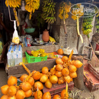 фото из отзыва ID 2666326