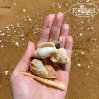 фото из отзыва ID 2666326